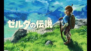 【ゼルダの伝説botw】続編発売までにクリアしたいゼルダの伝説botw配信#13