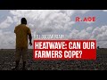 Heatwave Can Our Farmers Cope R AGE Documentary
