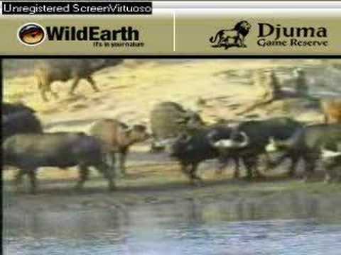 Sunset drive 091807-5