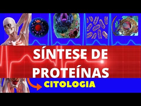 SÍNTESE DE PROTEÍNAS - TRADUÇÃO (SÍNTESE PROTEICA) - CITOLOGIA - FACILITANDO A MEDICINA