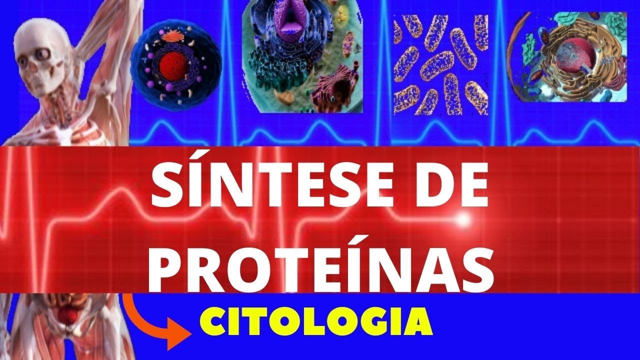 SÍNTESE DE PROTEÍNAS - TRADUÇÃO (SÍNTESE PROTEICA) - CITOLOGIA - FACILITANDO A MEDICINA