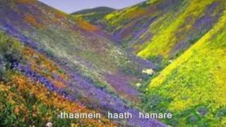 Ek Din Fursat Main_Instrumental_Steel Guitar_Zindaggi
