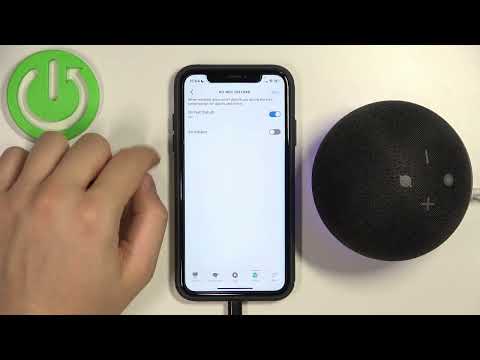 How to Enable & Customize Do Not Disturb Mode on Amazon Echo Dot 4?