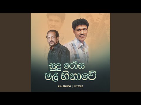 Sudu Rosa Mal Hinawe