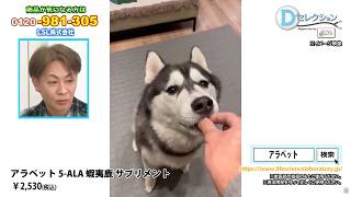5-ALA配合 犬猫用サプリメント 「アラペット５ALAエゾ鹿」ご紹介