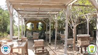 برنامج وقايه النبات