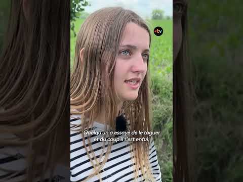 Un cheval retrouvé grièvement blessé dans un fossé, deux autres découverts tagués