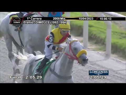 230415 c01 OLIMPO MT