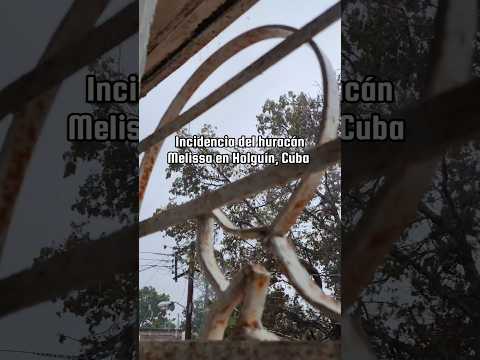 Incidencia del huracán Melissa en Holguín, Cuba 🌪️🌧️ #lluvias