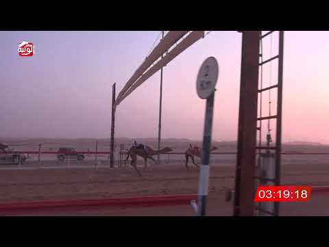  ش 5 (غنادير) لـ حمدان بخيت بن محمد الراشدي 6:27:94 ، مهرجان العين 2026/07/10 إيذاع الوقن