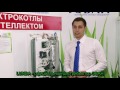 Электроотопительные котлы класса «СТАНДАРТ» NEXT, ЭВАН