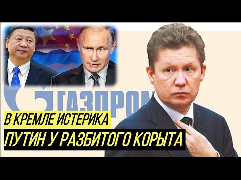 Сила Сибири в шаге от фиаско: Китай отказывается от российского газа