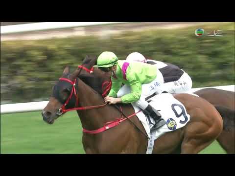 2021/22 (479) - Leading Fortune (連連行運) - 潘頓 (愈戰愈勇突破評分三班照羸)