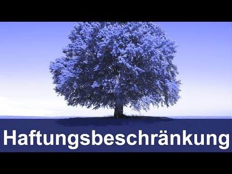 Haftungsbeschränkung | Wie haften ehrenamtliche Vorstände?