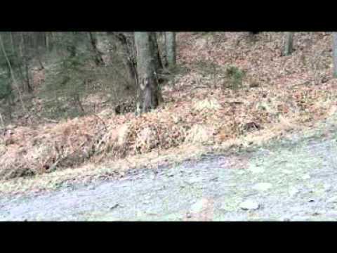 Gasper Dolinar - winter season