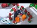 Mischievous Pingu Pingu Official Channel Cartoons For Kids