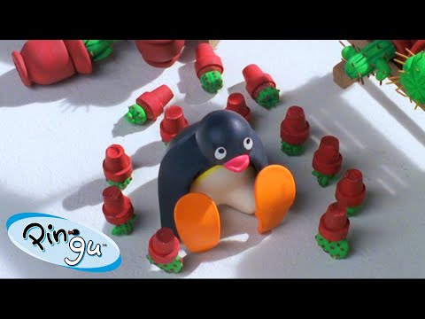 Mischievous Pingu | Pingu – Official Channel | Cartoons For Kids - Kids (0-4), Kingdom Kids Zone - Pingu - Official Channel