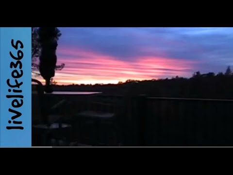 Reflections on Death...and Life