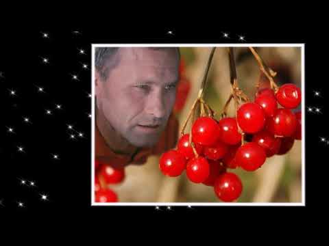 Песня калина красная в исполнении вики. Вика цыганова альбом калина красная 1997. Ах калина красная. Вика цыганова калина красная. Песня калина красная в исполнении вики.