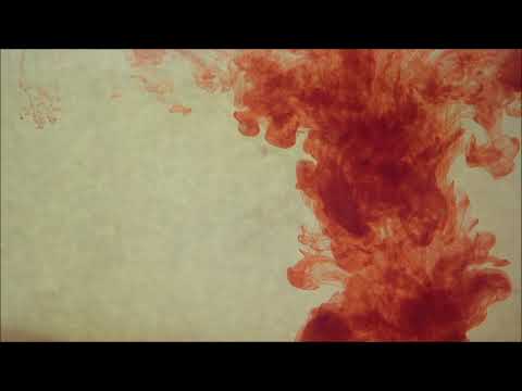 Albert Pali & Gentian Nimanaj - Recital i Malsorit [demo]