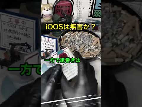 素朴なタバコについて詳しく解説