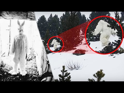 TOP 5 URBAANIT LEGENDAT #3