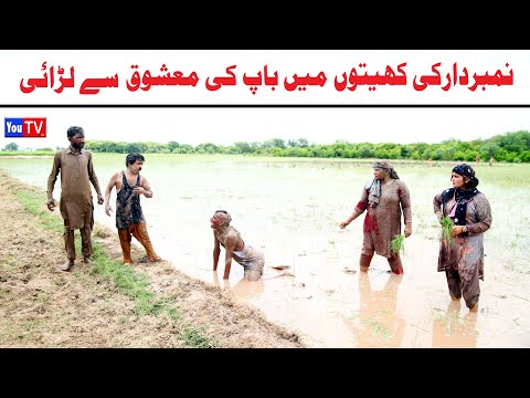 Number daar Ki Khaito Me Larai Numberar Funny Video | Most Comedy Funny Video | You Tv Hd 2025