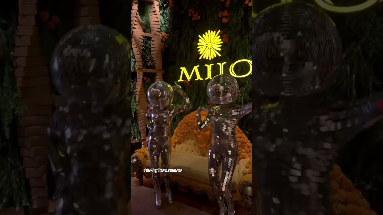 Promotional video thumbnail 3 for Las Vegas Disco Ball Dancers