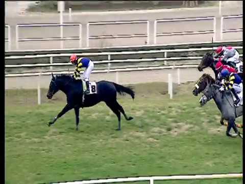 Galoppo 27/12/2017 - 2ª corsa