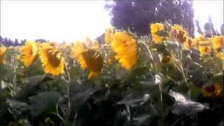 Tangerine Dream. Marmontel Riding on a Clef.