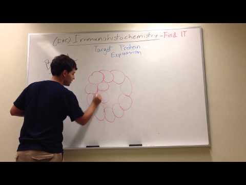 Immunohistochemistry (IHC)