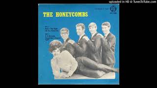 The Honeycombs  Tell Me Baby (Unreleased)