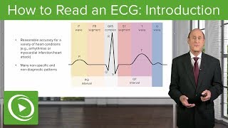 How to Read an Electrocardiogram (ECG): Introducti