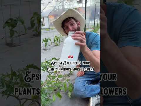 5 Benefits of Epsom Salt for Gardening