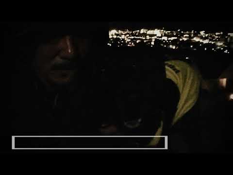 Boral Kibil  Mahmut Orhan - The Queens Response (Original Mix) & Flat coated retriever