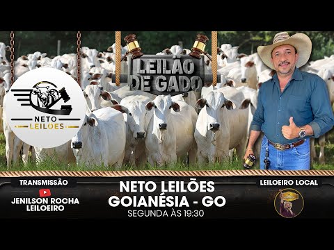 NETO E NIUSMAR LEILÕES GOIANÉSIA-GO 20/10/2025 LIVE JENILSON ROCHA