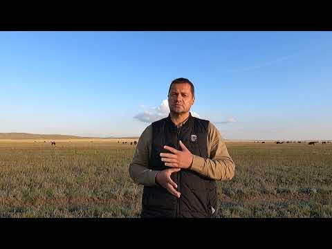 Сергей  Буянов  о запрете на экспорт скота