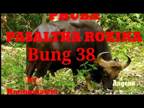 PHUBA PASALTHA ROZIKA 38