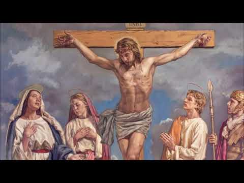 DIÁRIO ESPIRITUAL MISSÃO BELÉM (NOITE) 15/09/2020 - YOUCAT 31