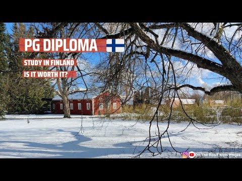 PG diploma in Finland - Is It A Good Option If You Did Not Get Admission ? - Study in Finland