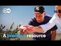 Water Scarcity Innovation To Combat Drought DW Documentary