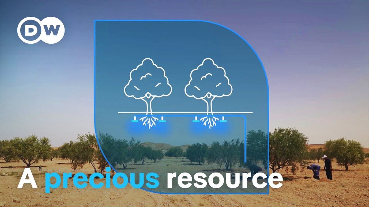 Water scarcity - Innovation to combat drought | DW Documentary