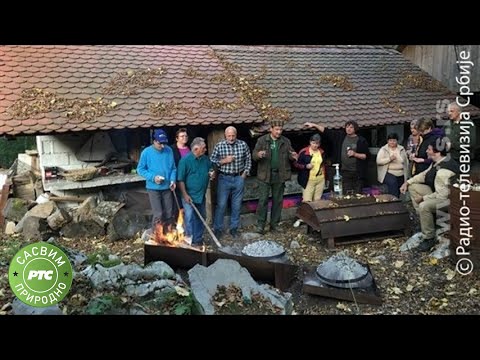 Sasvim prirodno: Dani puha (Jovan Memedović)