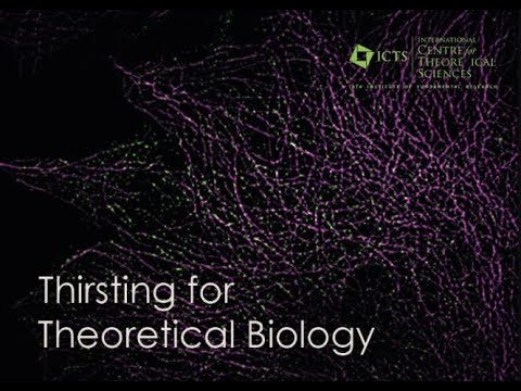 Understanding Large-Scale Nuclear Architecture by Gautam Menon