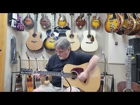 Eastman E1D-Special image 7