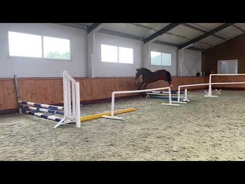 Ukiro:URIKO x QUINTENDER/ QUALITY TIME