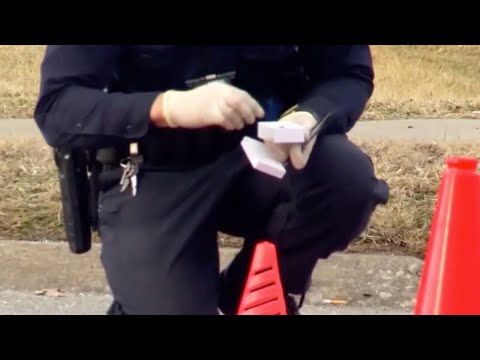 Spfd Mo Police Calls
