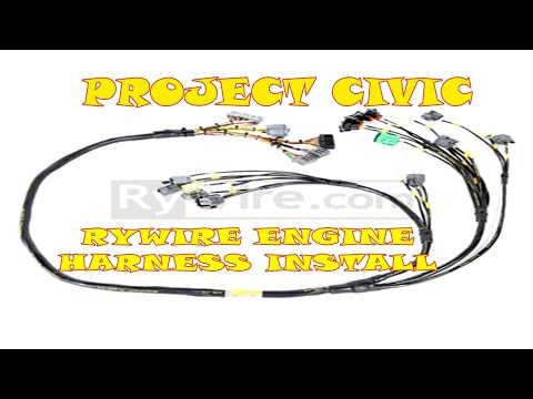 Project Civic Rywire Harness Install