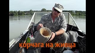 Ссылка