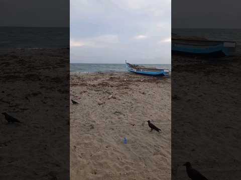 කීරී බීච්♥️♥️♥️⛵⛵⛵මන්නාරම #srilanka #subscribe #viral #mannara